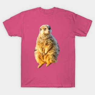 Meerkat on guard T-Shirt